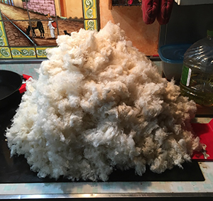 pile of wool before picking